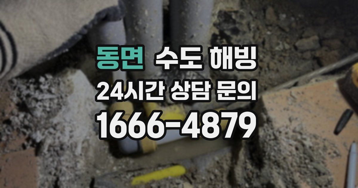 동면 수도 해빙