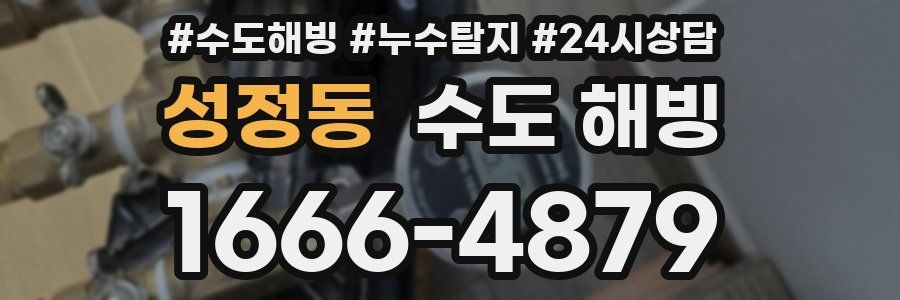 성정동 수도 해빙