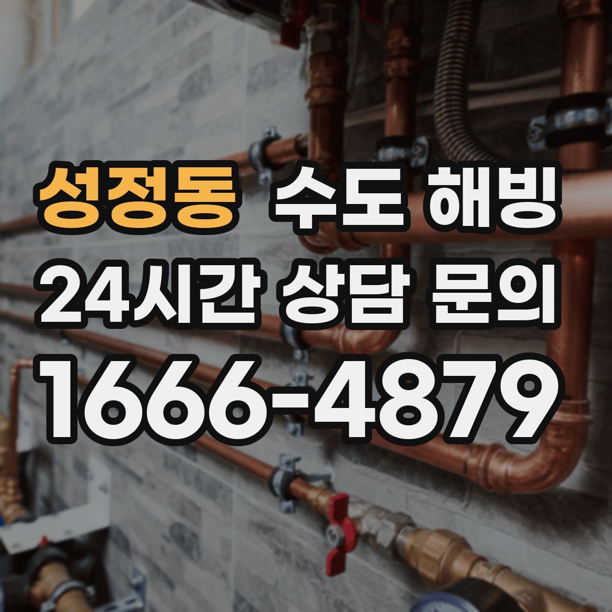 성정동 수도 해빙