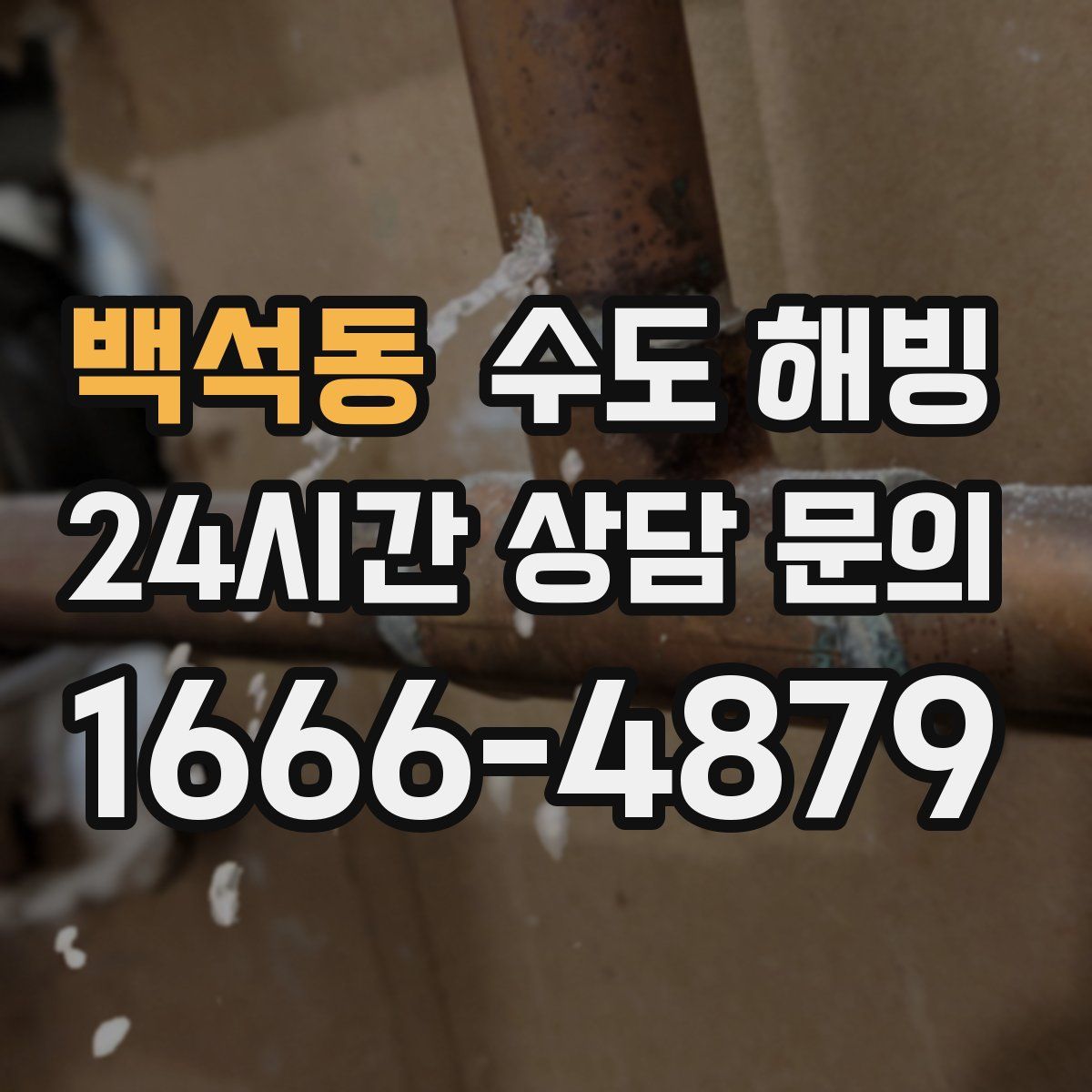 백석동 수도 해빙