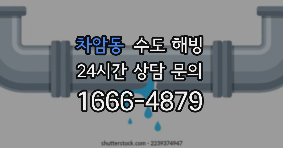 차암동 수도 해빙