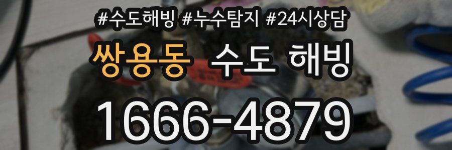 쌍용동 수도 해빙