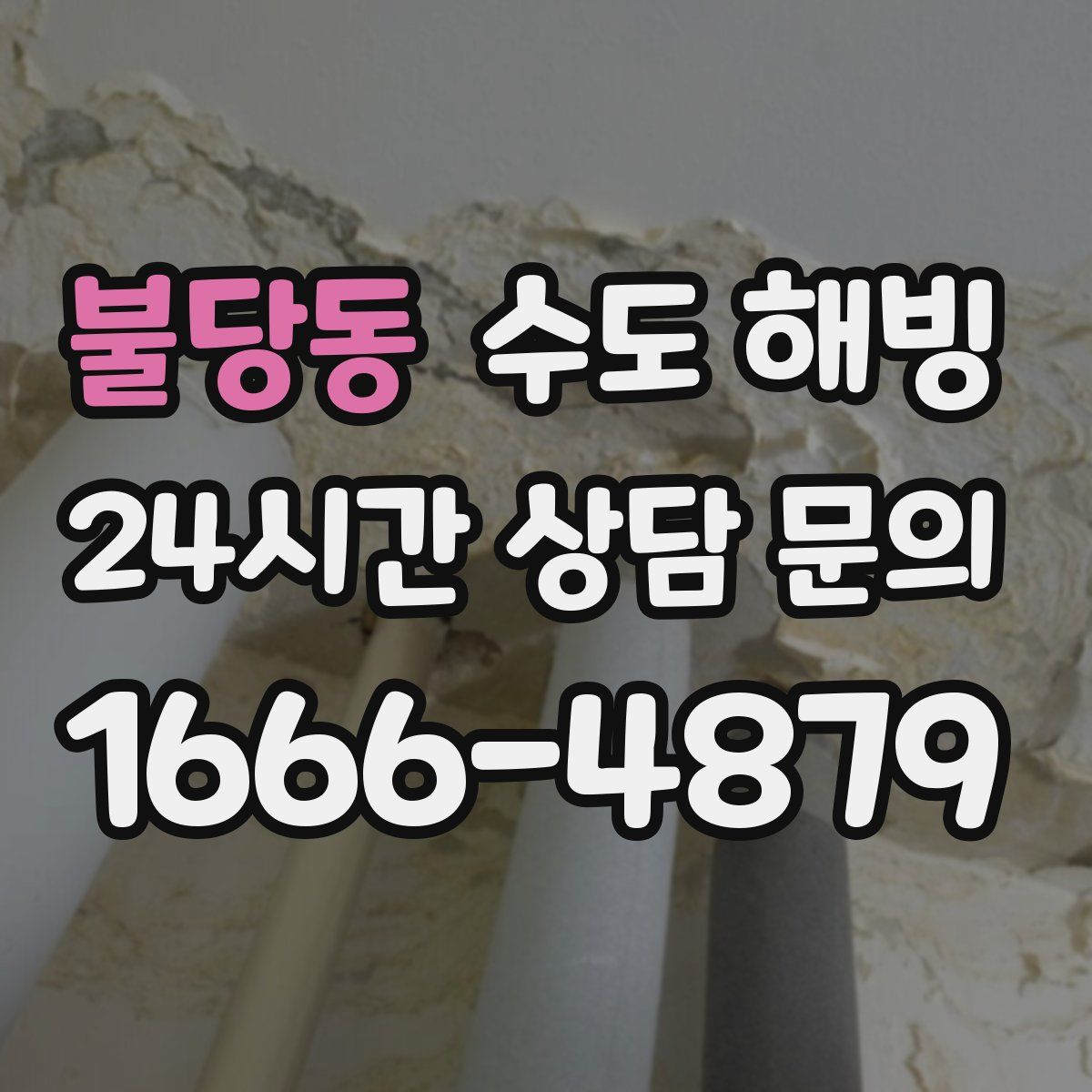 불당동 수도 해빙