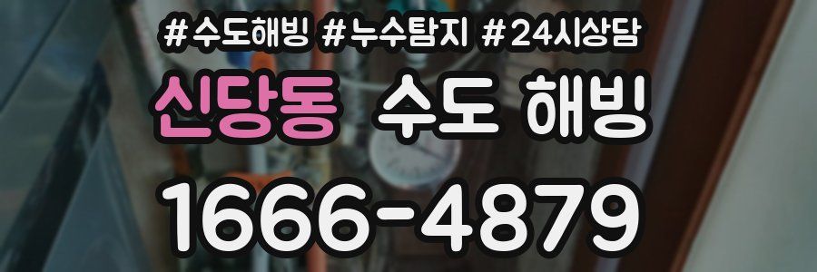 신당동 수도 해빙