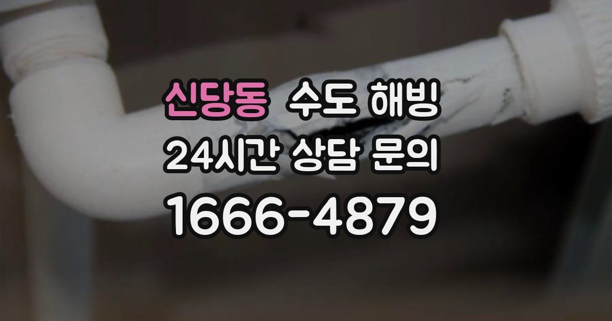 신당동 수도 해빙