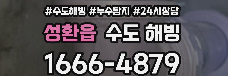 성환읍 수도 해빙