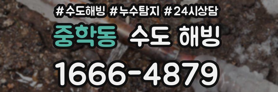 중학동 수도 해빙