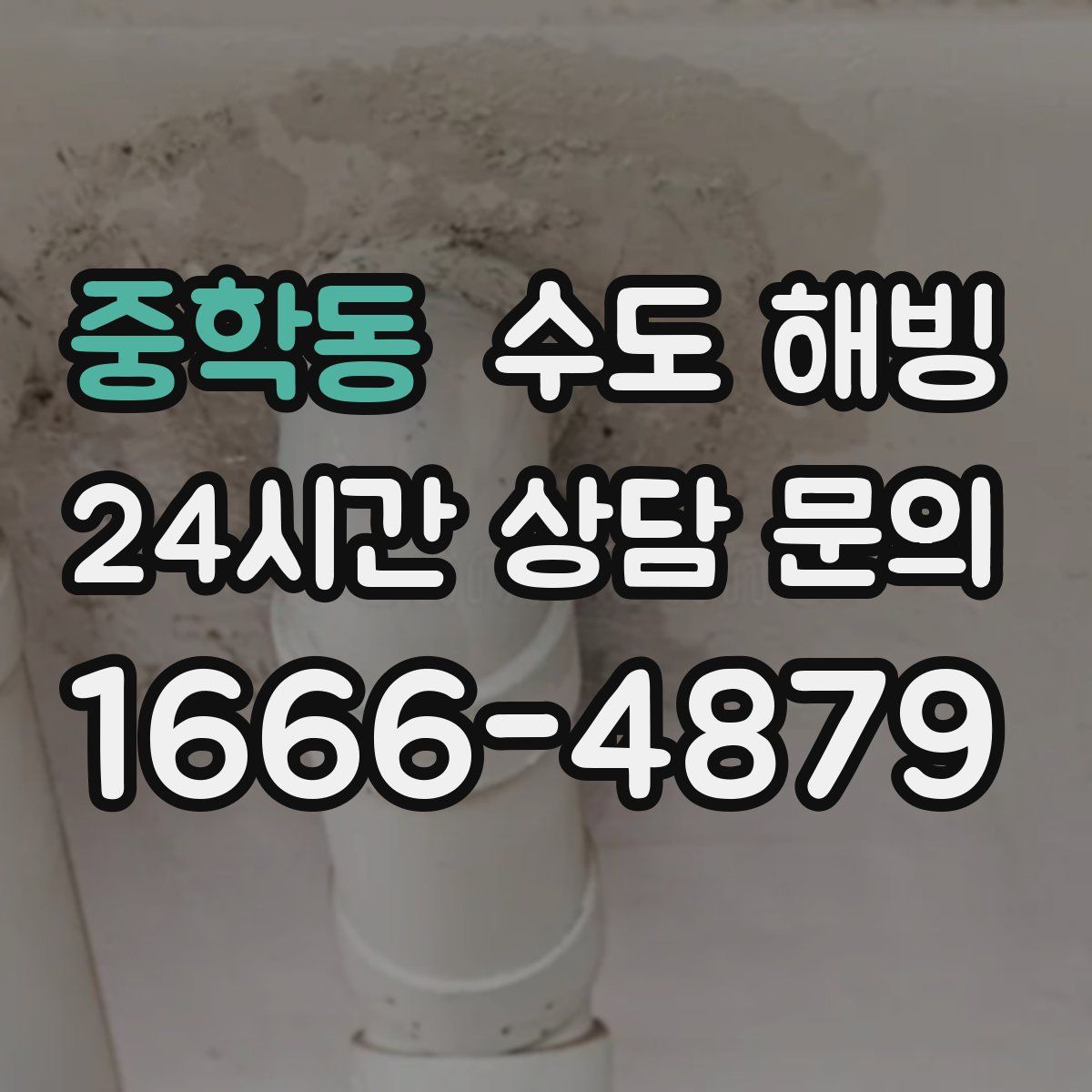 중학동 수도 해빙