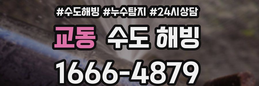 교동 수도 해빙