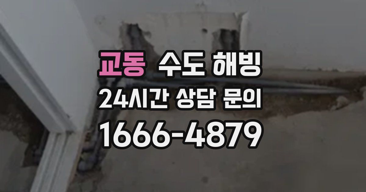 교동 수도 해빙