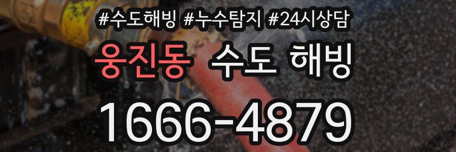 웅진동 수도 해빙