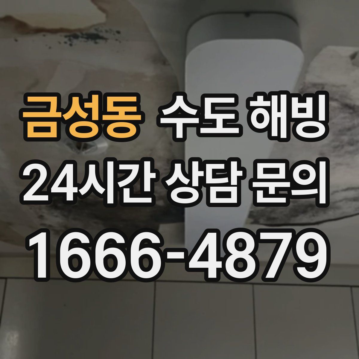 금성동 수도 해빙