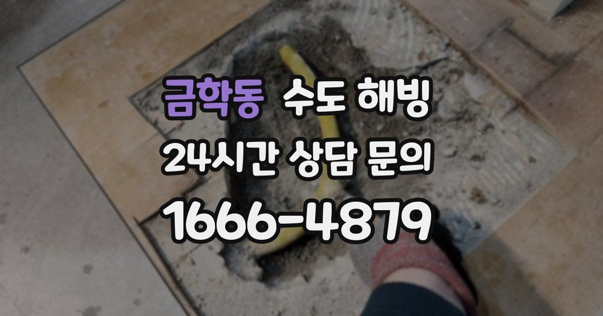 금학동 수도 해빙