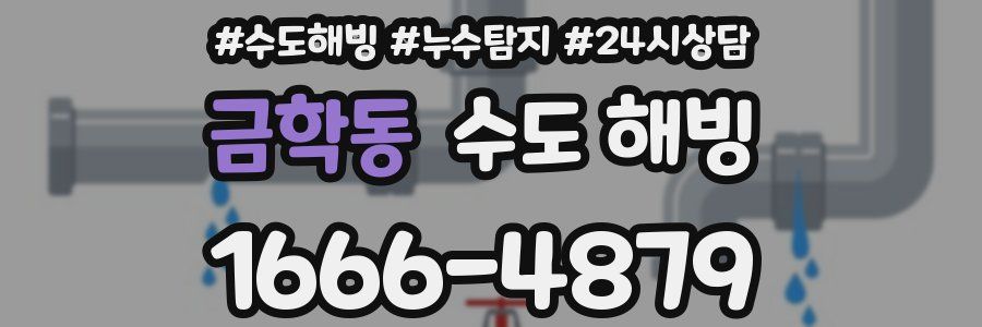 금학동 수도 해빙
