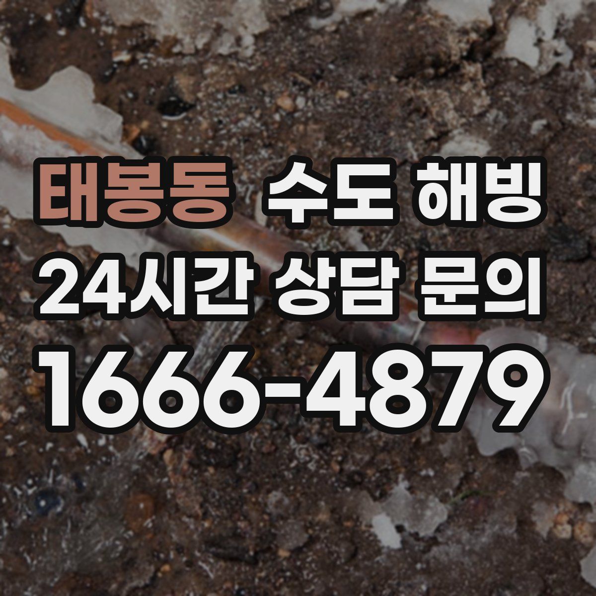 태봉동 수도 해빙