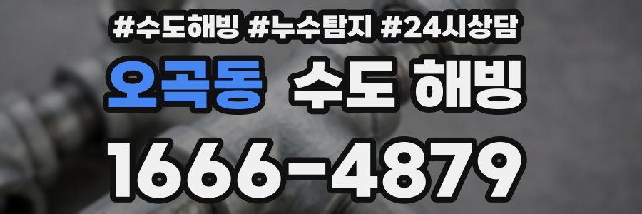 오곡동 수도 해빙