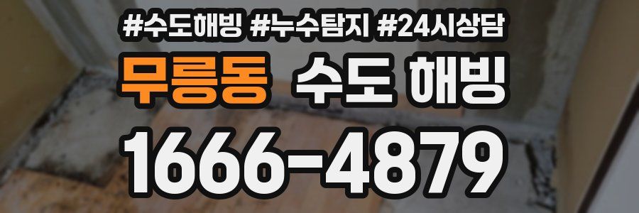 무릉동 수도 해빙