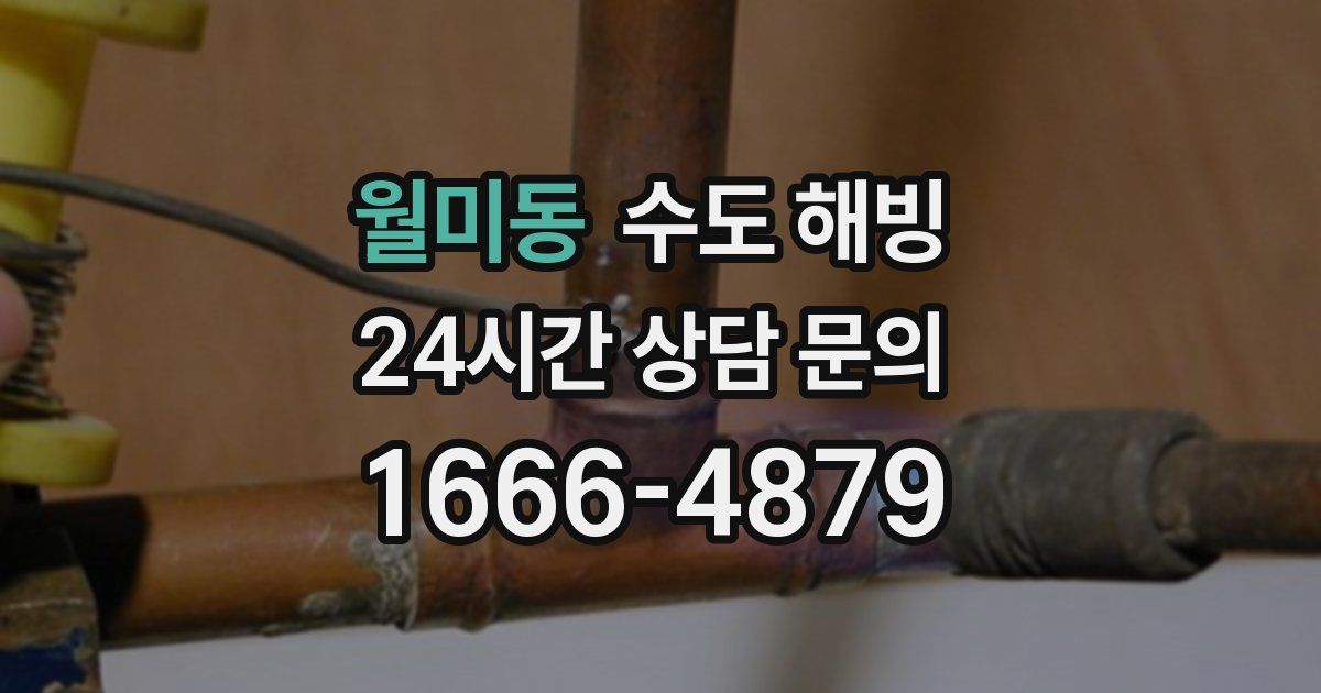 월미동 수도 해빙