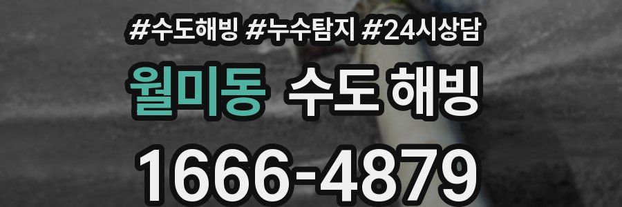 월미동 수도 해빙