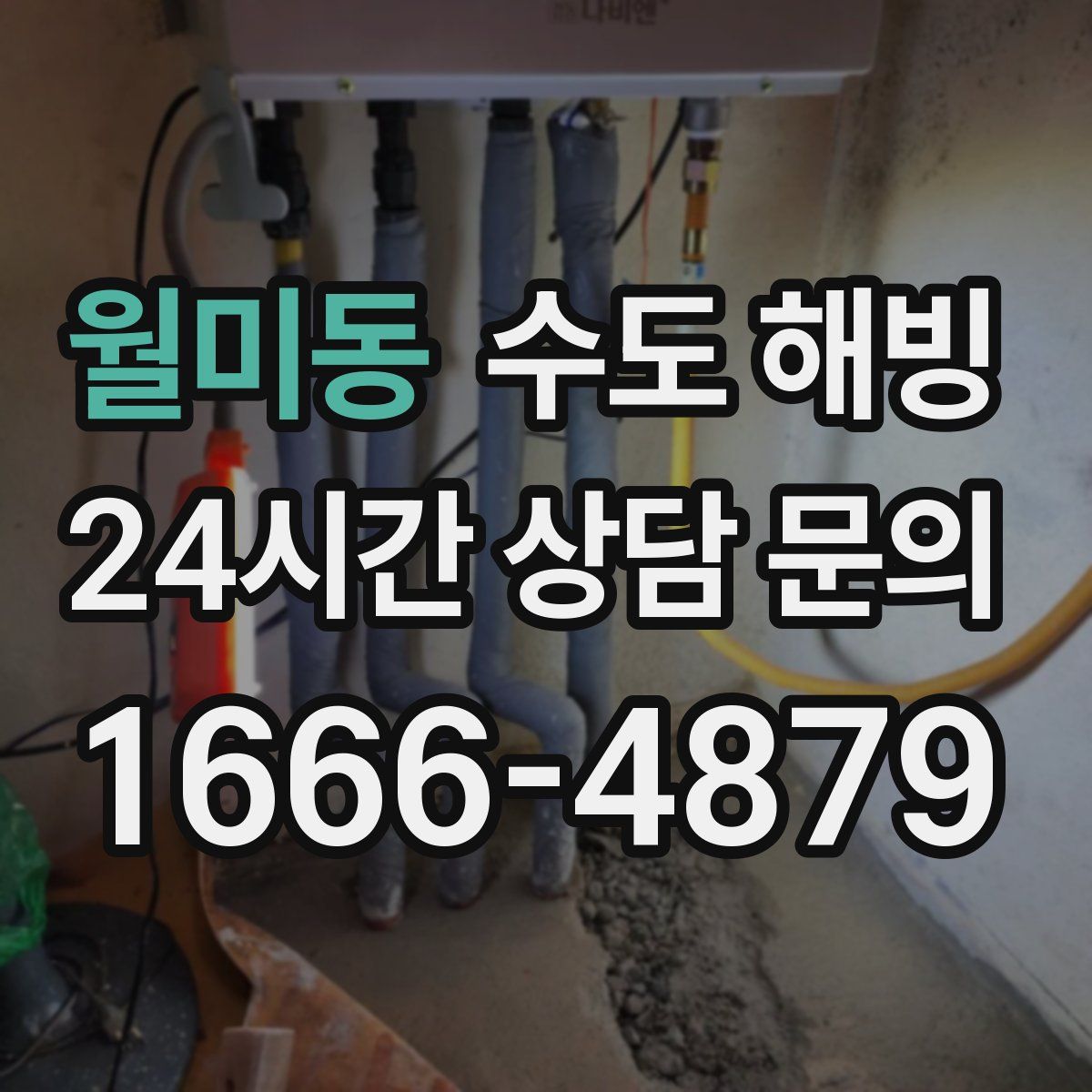 월미동 수도 해빙