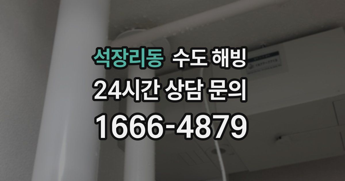 석장리동 수도 해빙