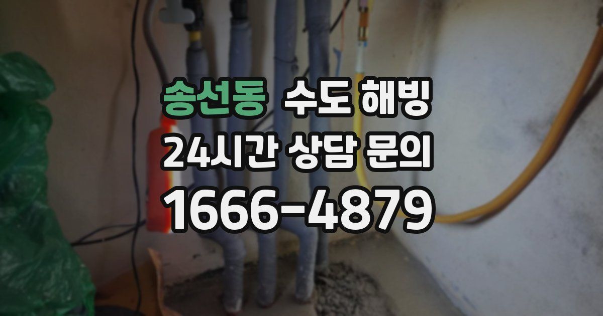 송선동 수도 해빙