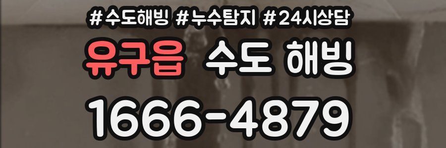 유구읍 수도 해빙