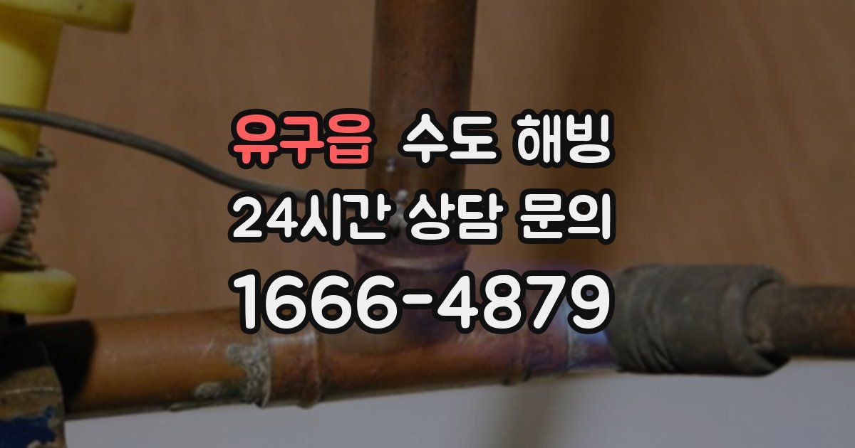 유구읍 수도 해빙