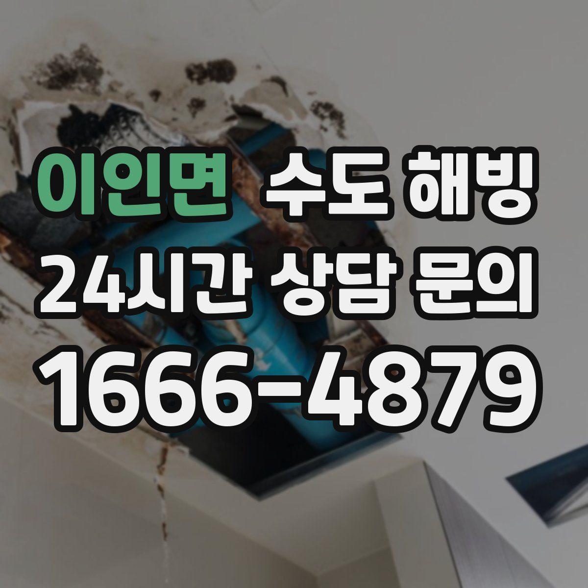 이인면 수도 해빙