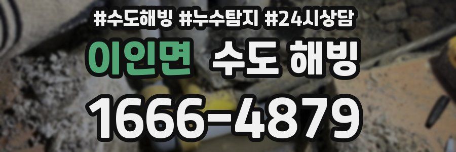 이인면 수도 해빙