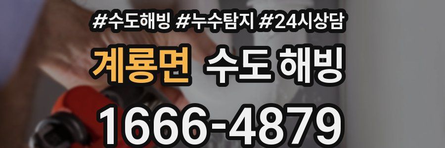 계룡면 수도 해빙