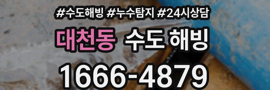 대천동 수도 해빙