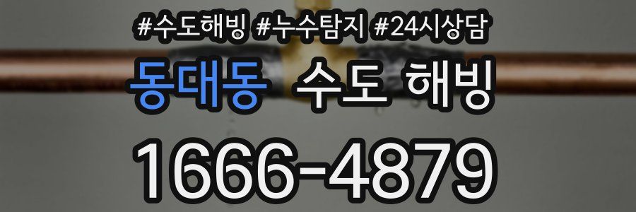 동대동 수도 해빙