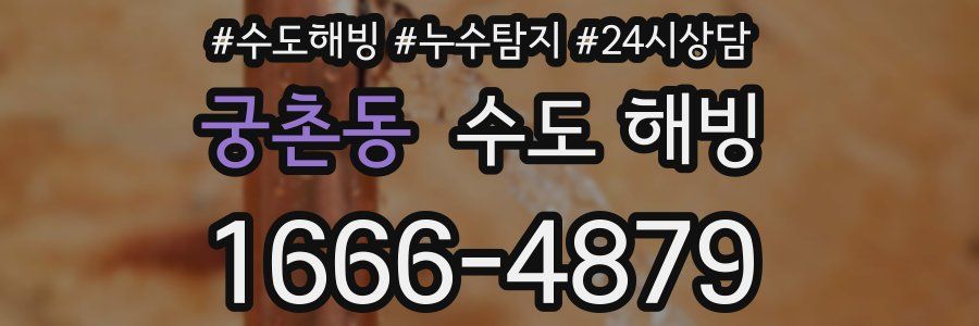 궁촌동 수도 해빙