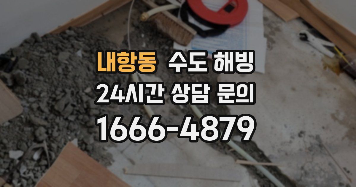 내항동 수도 해빙