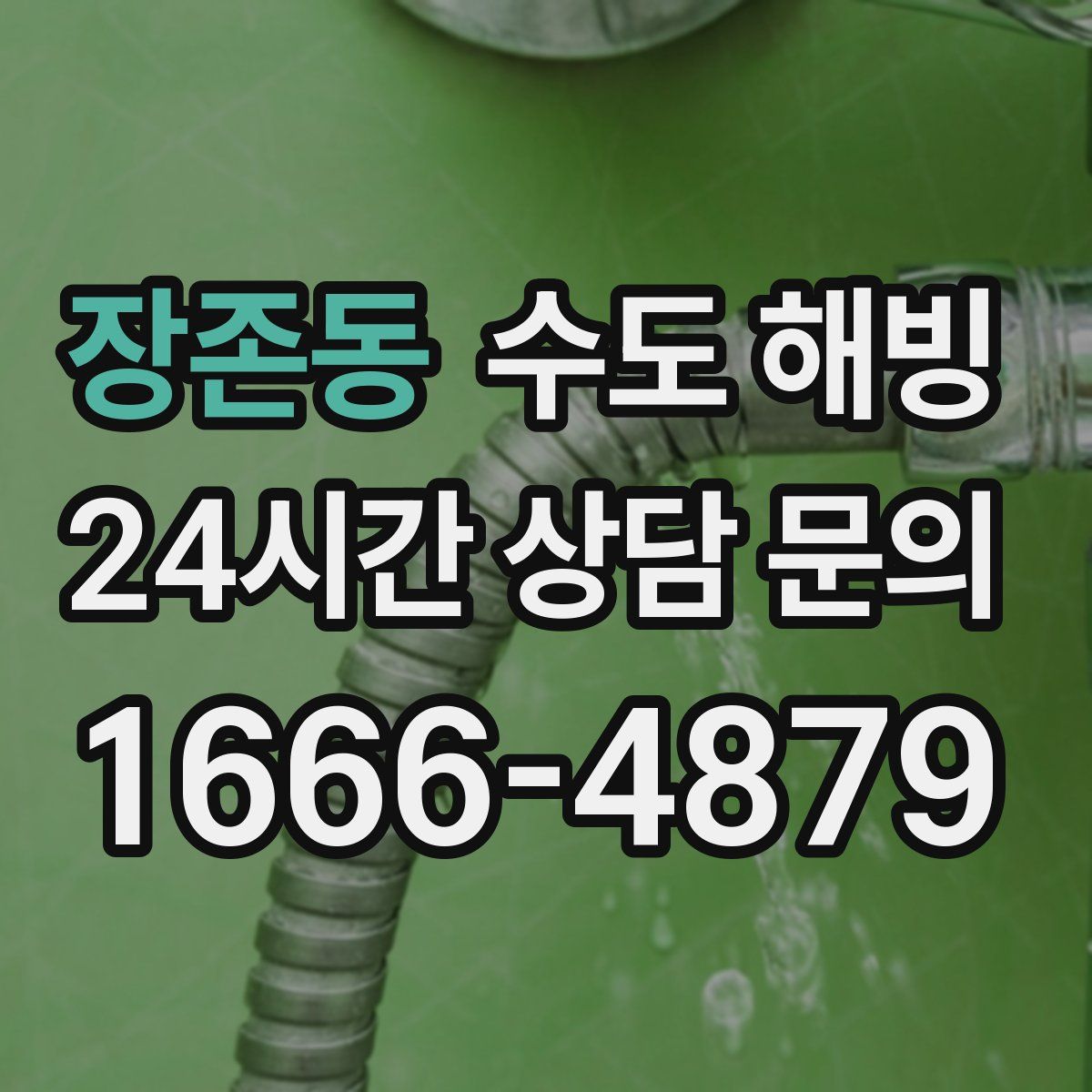 장존동 수도 해빙