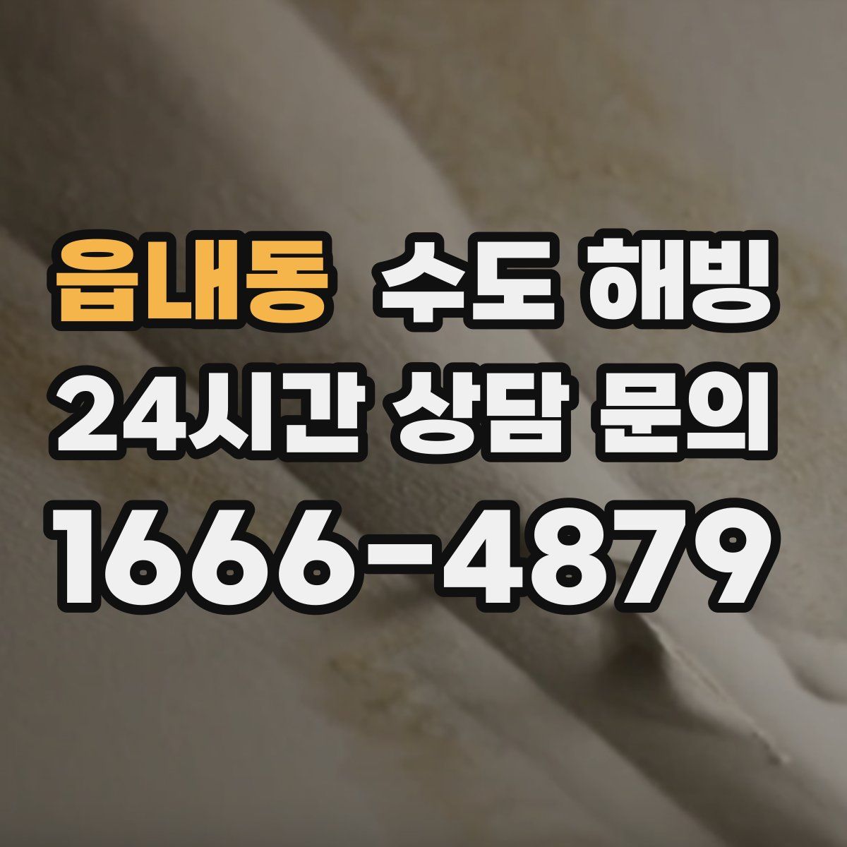 읍내동 수도 해빙