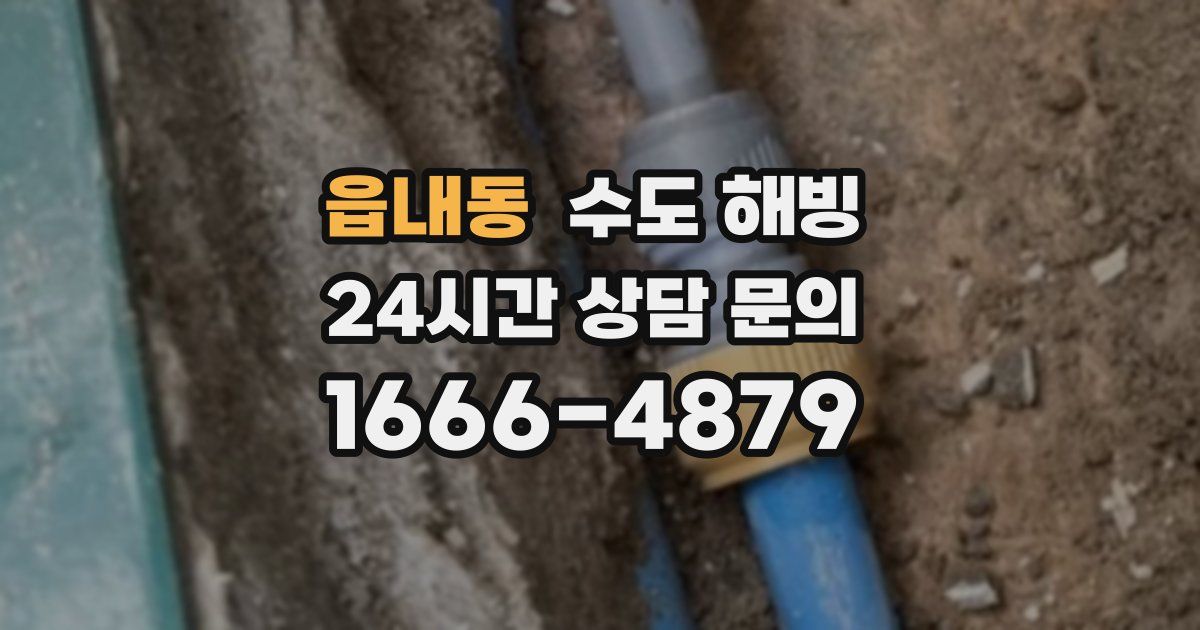 읍내동 수도 해빙