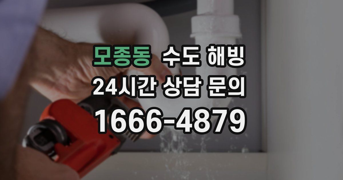 모종동 수도 해빙