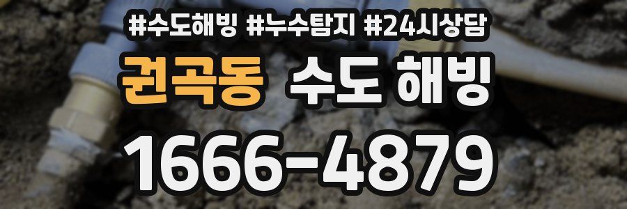 권곡동 수도 해빙