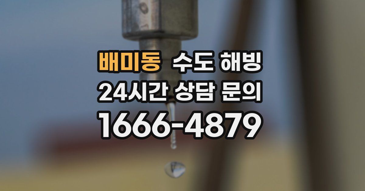 배미동 수도 해빙
