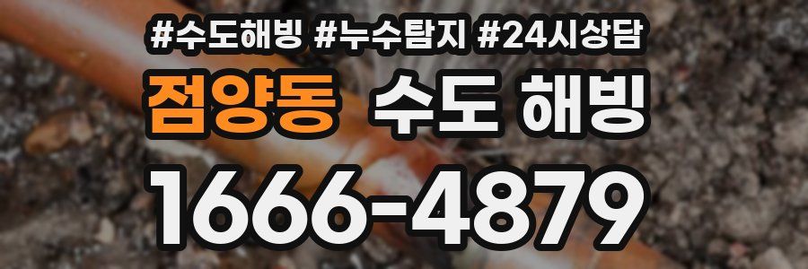 점양동 수도 해빙