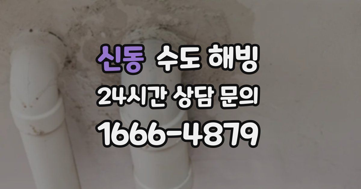 신동 수도 해빙