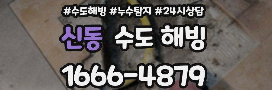 신동 수도 해빙