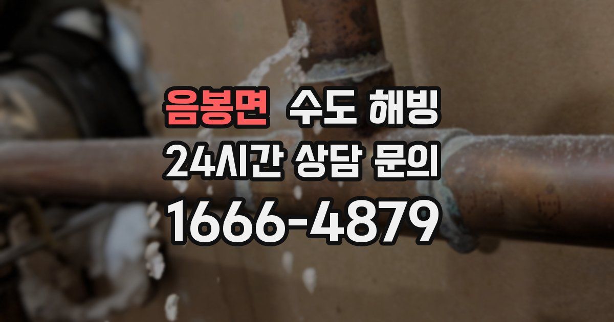 음봉면 수도 해빙