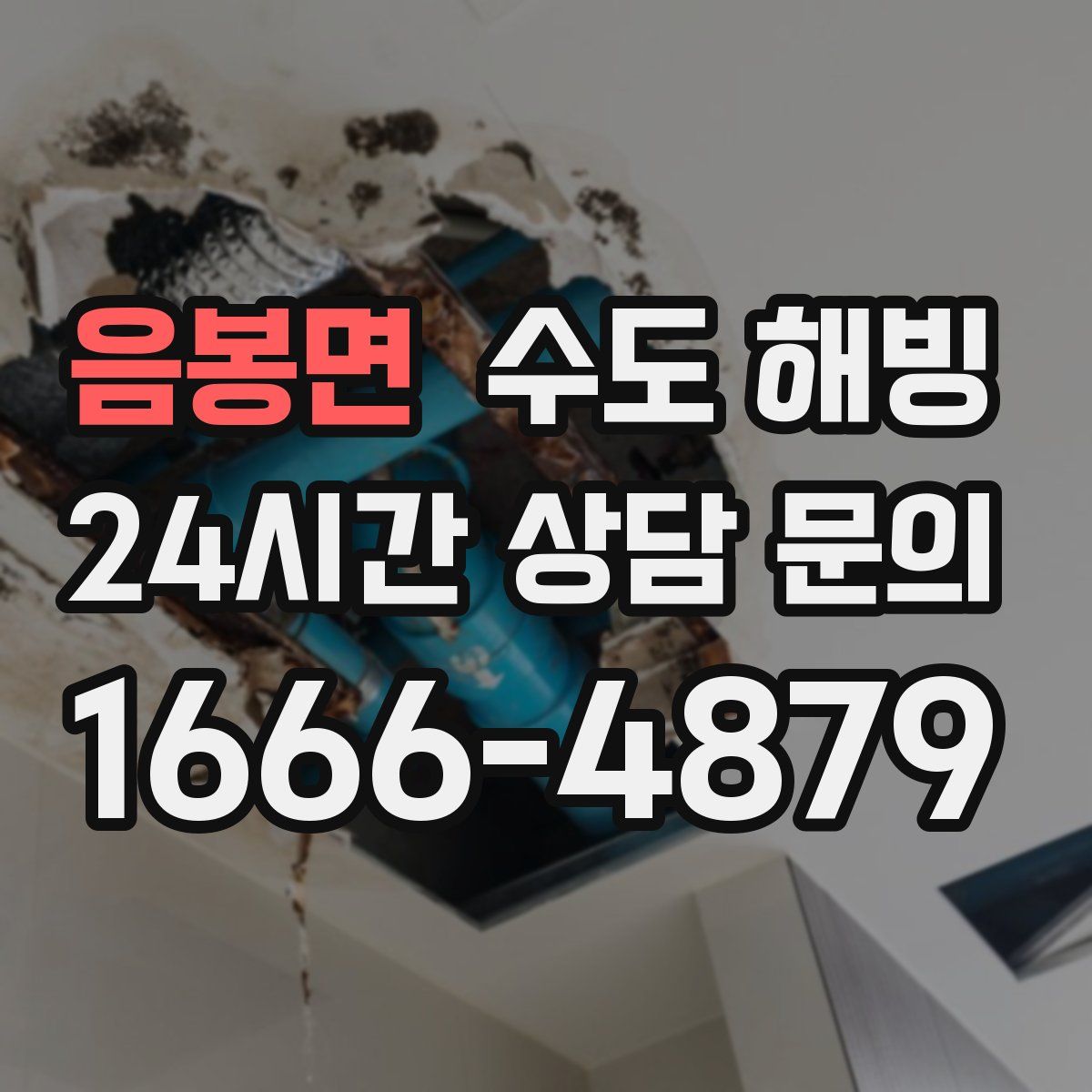 음봉면 수도 해빙