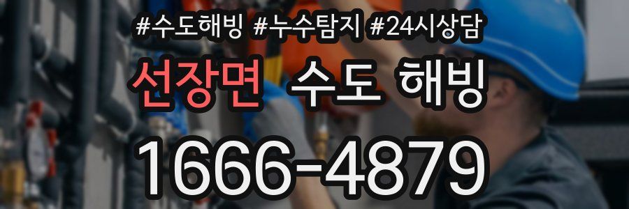 선장면 수도 해빙