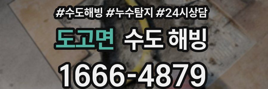 도고면 수도 해빙