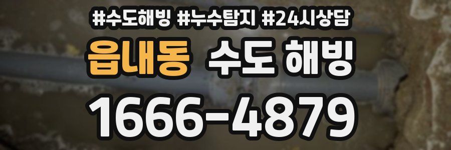 읍내동 수도 해빙