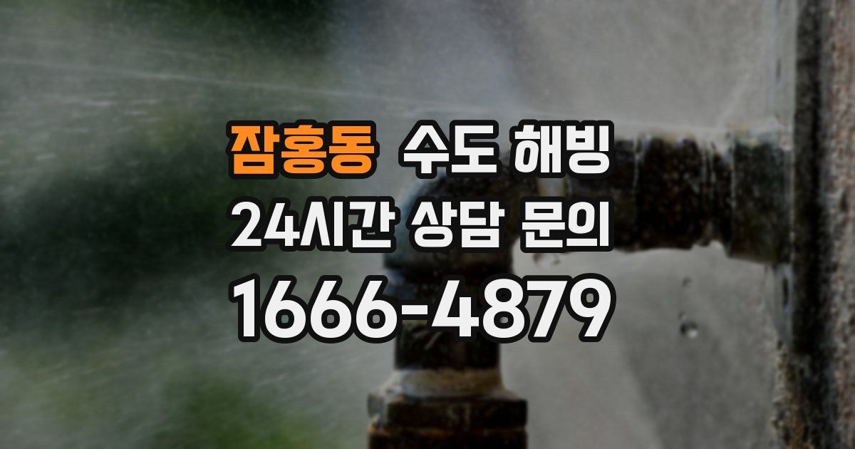 잠홍동 수도 해빙